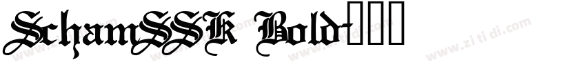 SchamSSK Bold字体转换